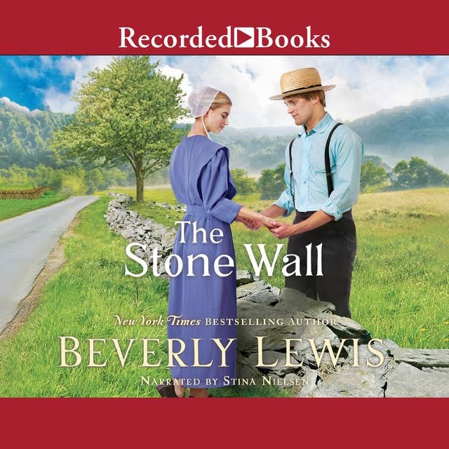 Cover for The Stone Wall