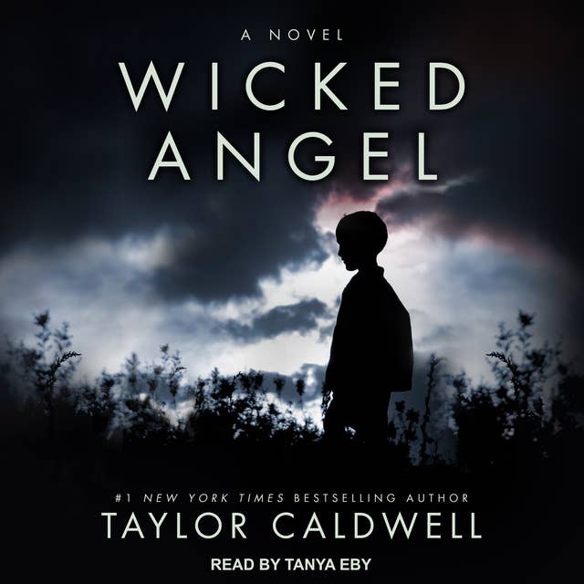 Wicked Angel: A Novel