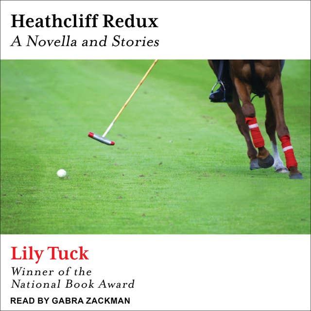 Heathcliff Redux: A Novella and Stories