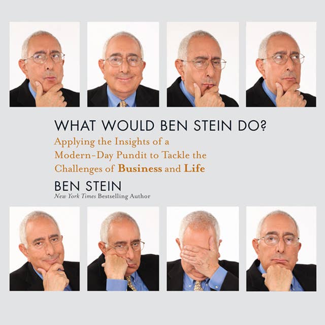 What Would Ben Stein Do?: Applying the Insights of a Modern-Day Pundit to Tackle the Challenges of Business and Life: Applying the Wisdom of a Modern-Day Prophet to Tackle the Challenges of Work and Life