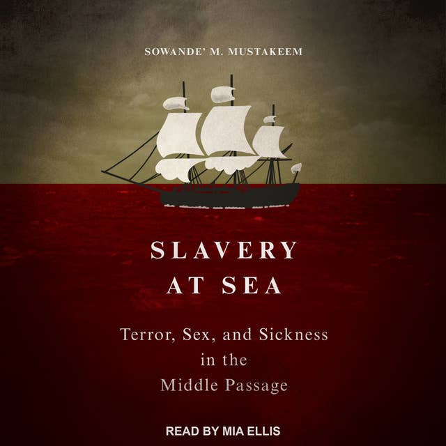 Slavery at Sea: Terror, Sex, and Sickness in the Middle Passage
