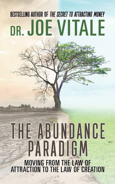 Cover for The Abundance Paradigm