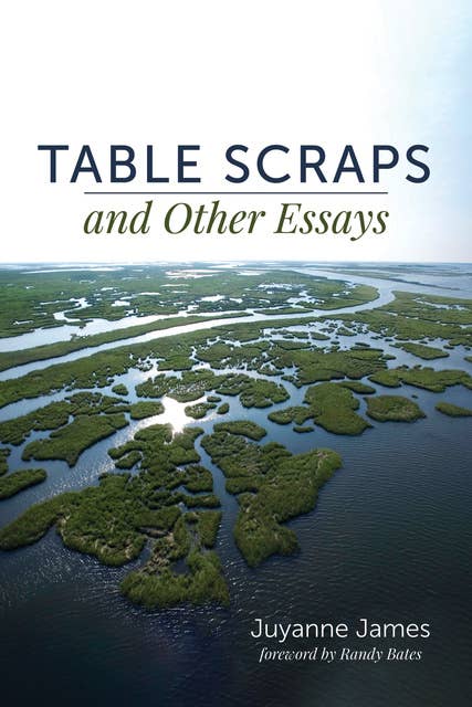 Table Scraps and Other Essays