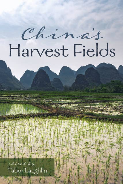 China’s Harvest Fields