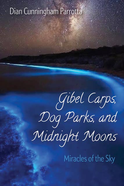 Gibel Carps, Dog Parks, and Midnight Moons: Miracles of the Sky