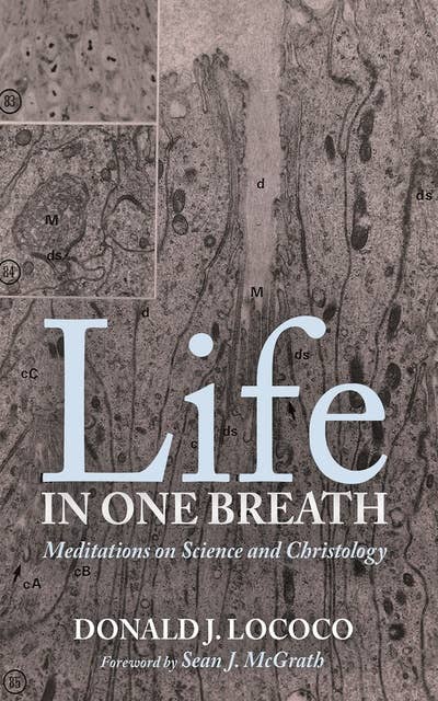 Life in One Breath: Meditations on Science and Christology