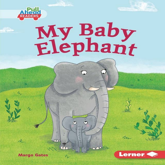My Baby Elephant