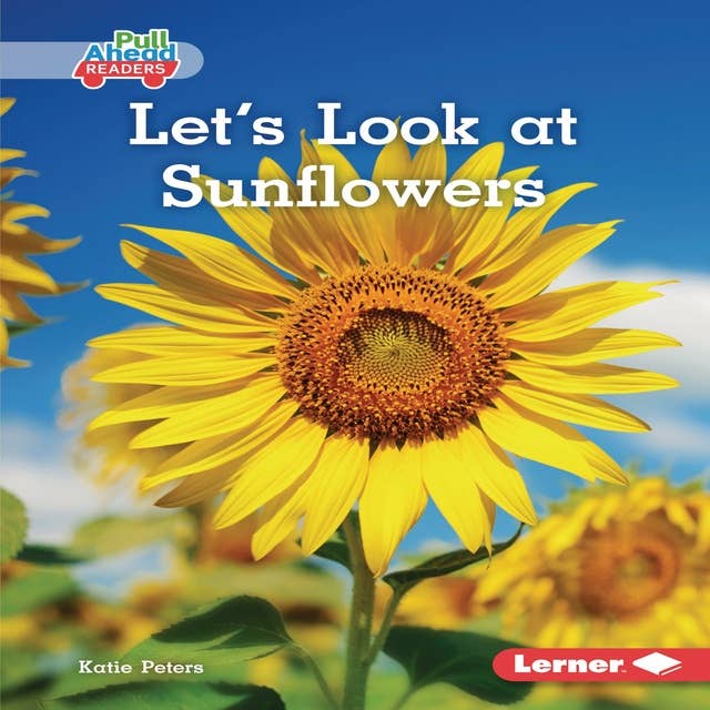 Let's Look at Sunflowers