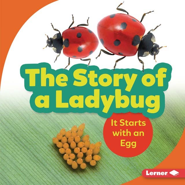 The Story of a Ladybug: It Starts with an Egg