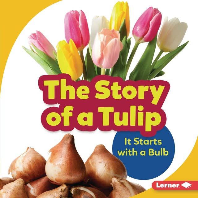 The Story of a Tulip: It Starts with a Bulb
