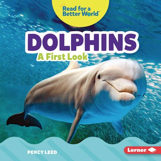 Dolphins: A First Look