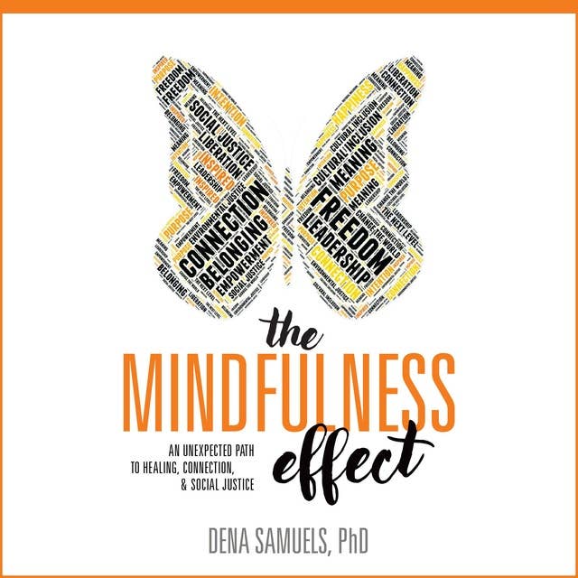 The Mindfulness Effect: An Unexpected Path to Healing, Connection & Social Justice