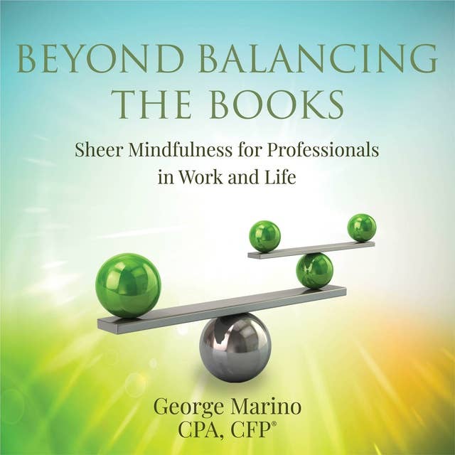 Beyond Balancing the Books: Sheer Mindfulness for Professionals in Work and Life