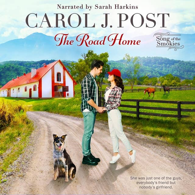 The Road Home: Poignant Christian romance filled with surprises and a solid dose of humor