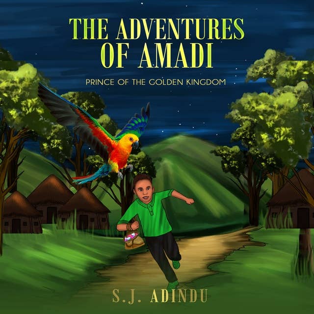 The Adventures of Amadi: Prince of the Golden Kingdom