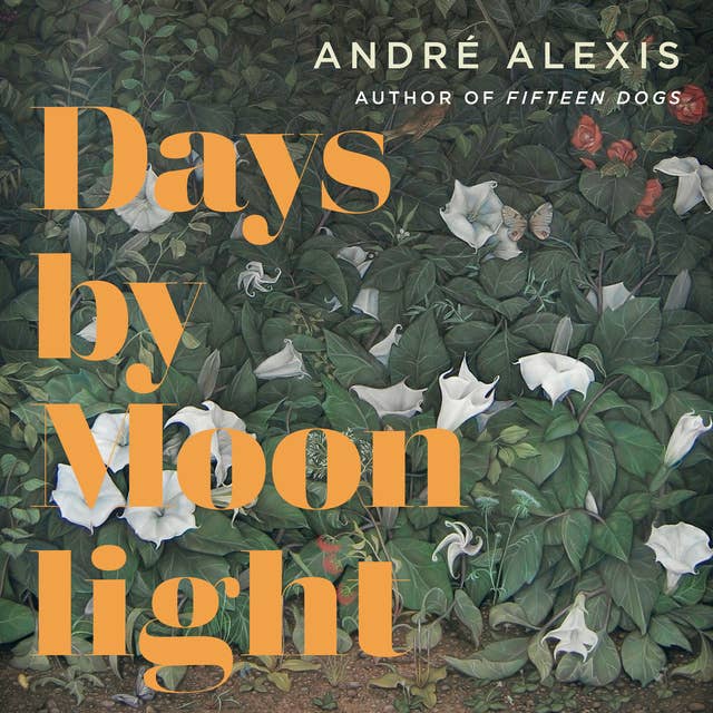 Days By Moonlight: A Novel
