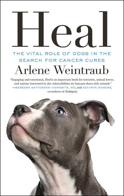 Heal: The Vital Role of Dogs in the Search for Cancer Cures