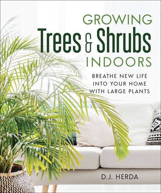 Growing Trees & Shrubs Indoors: Breathe New Life into Your Home with Large Plants
