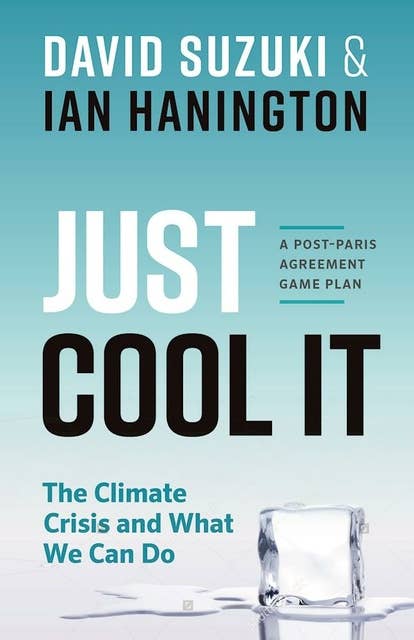 Just Cool It!: The Climate Crisis and What We Can Do - A Post-Paris Agreement Game Plan