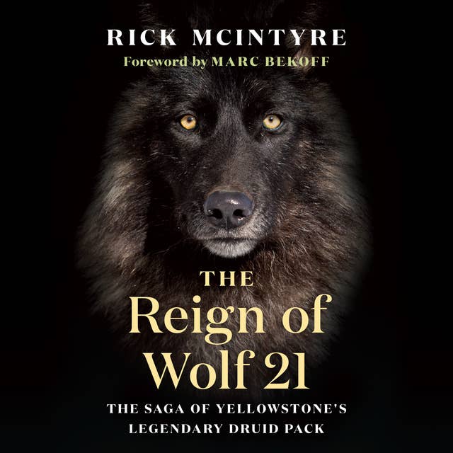 The Reign of Wolf 21- The Saga of Yellowstone’s Legendary Druid Pack: The Saga of Yellowstone's Legendary Druid Pack