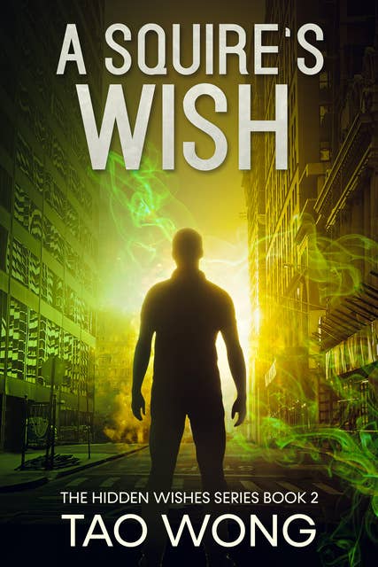 A Squire's Wish: A GameLit / Urban Fantasy novel