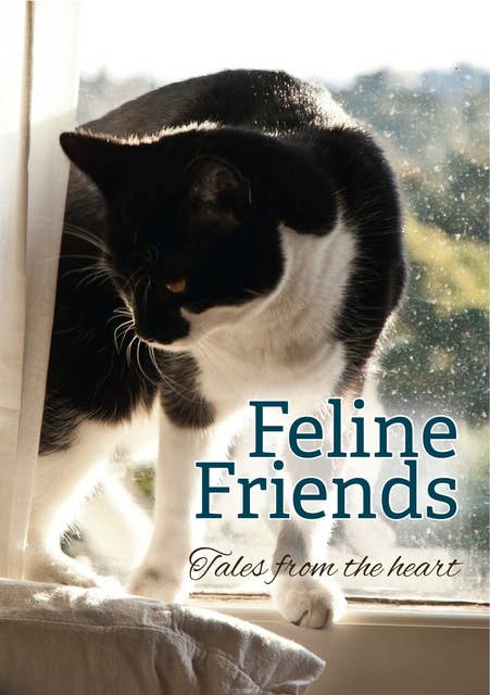 Feline Friends: Tales from the heart