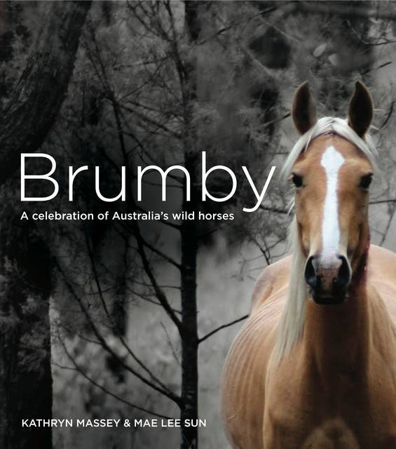 Brumby: A celebration of Australia's wild horses