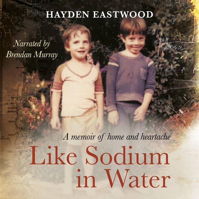 Like Sodium in Water: A memoir of home and heartache