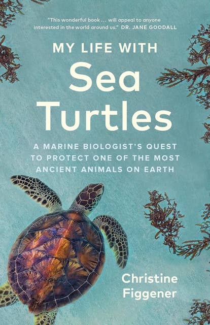My Life with Sea Turtles: A Marine Biologist’s Quest to Protect One of the Most Ancient Animals on Earth