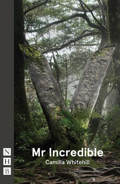 Mr Incredible (NHB Modern Plays)