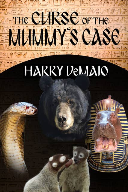 The Curse of the Mummy's Case