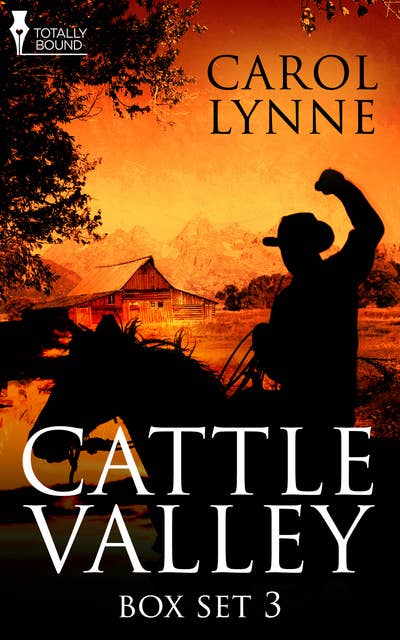 Cattle Valley Box Set 3