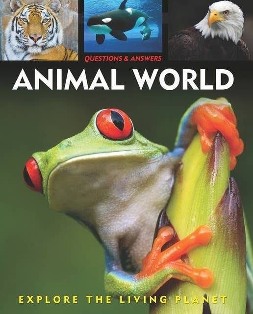 Questions and Answers about: Animal World