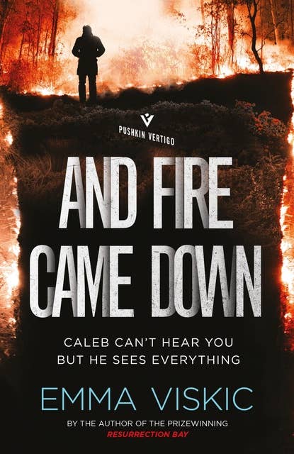 And Fire Came Down: Unputdownable aussie noir with a twist in the tail