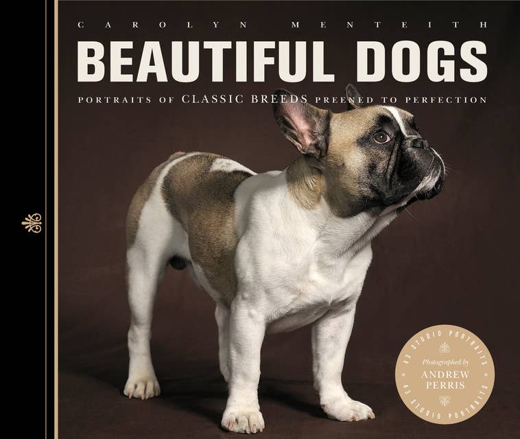 Beautiful Dogs: Portraits of champion breeds