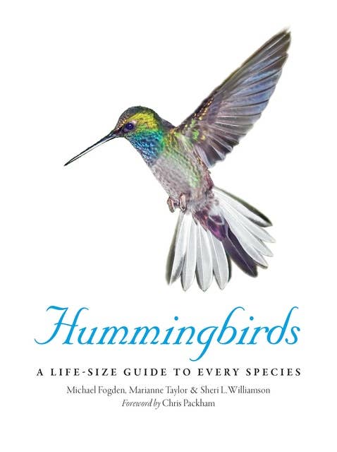Hummingbirds: A Life-Size Guide to Every Species