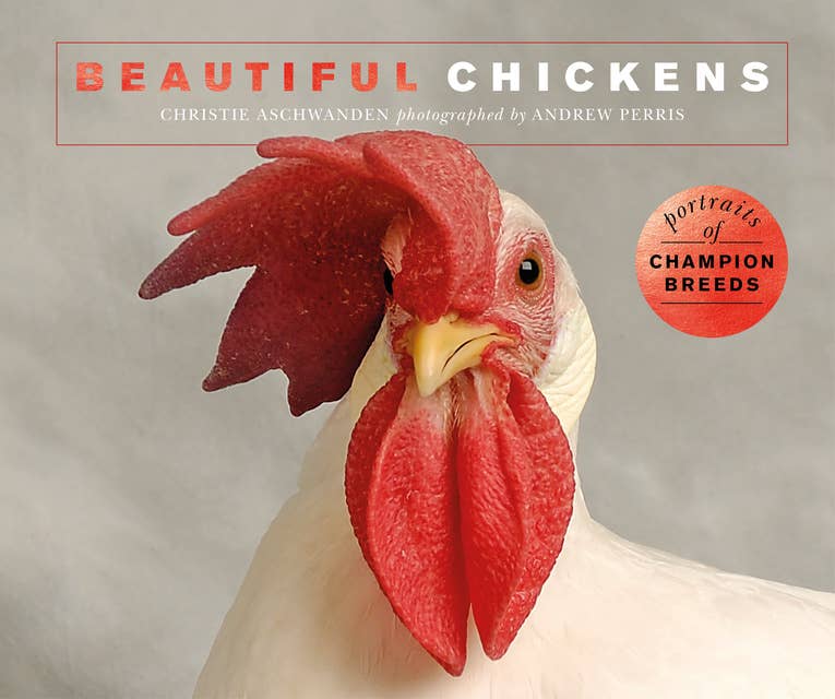 Beautiful Chickens: Portraits of champion breeds