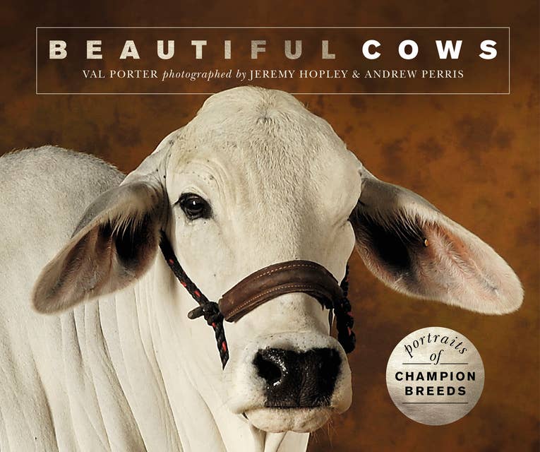 Beautiful Cows: Portraits of champion breeds