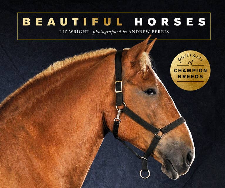 Beautiful Horses: Portraits of champion breeds
