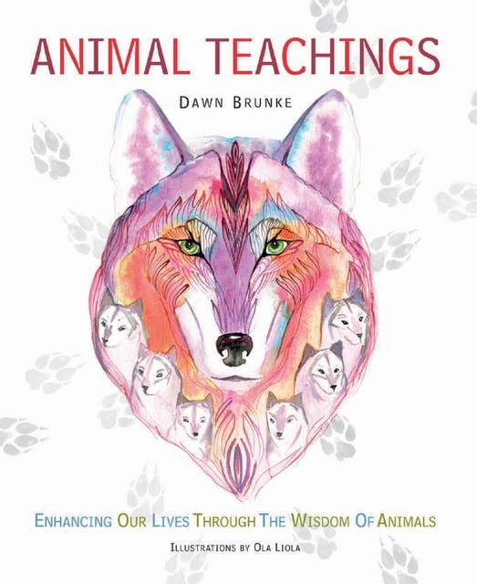 Animal Teachings: Enhancing our lives through the wisdom of animals