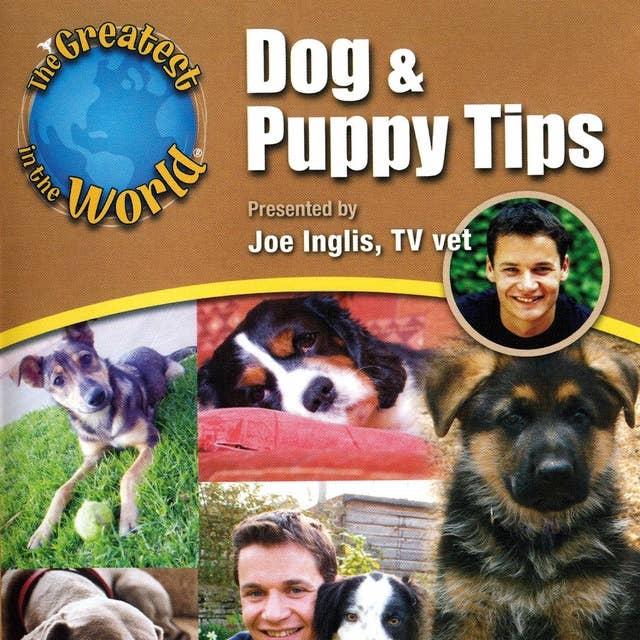Dog & Puppy Tips