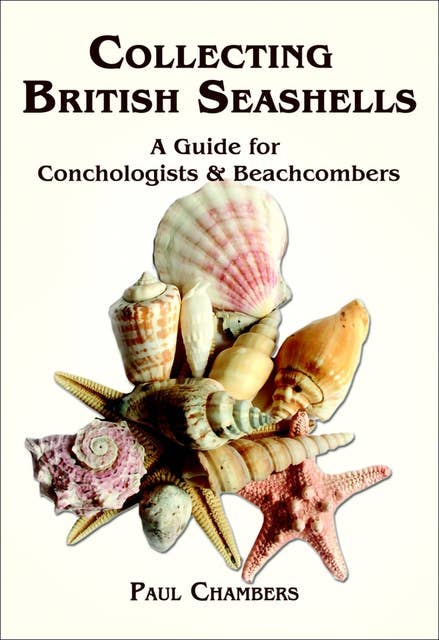 Collecting British Seashells: A Guide for Collectors and Beachcombers