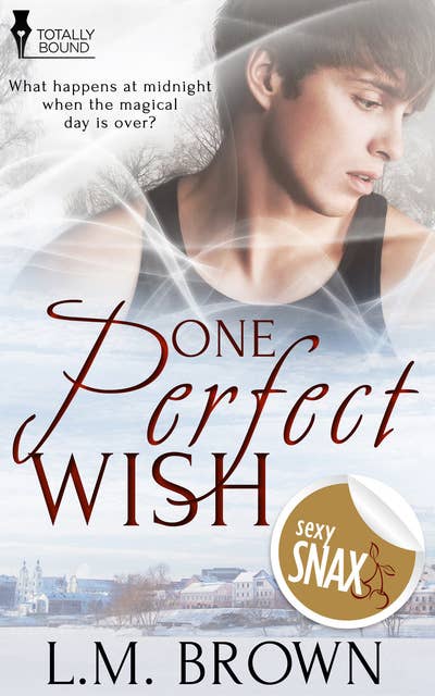 One Perfect Wish