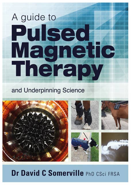 A Guide to Pulsed Magnetic Therapy