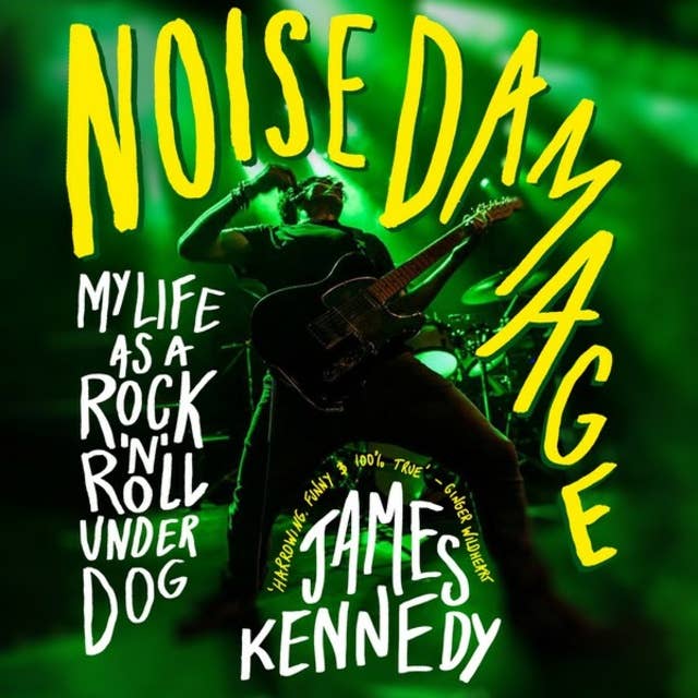 Noise Damage: My Life as a Rock n Roll Underdog