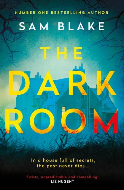 The Dark Room: A thrilling new novel from the number one Irish Times bestselling author of Keep Your Eyes on Me