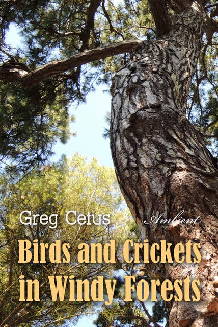 Birds and Crickets in Windy Forests: Productivity Soundscape for Clarity and Relaxation