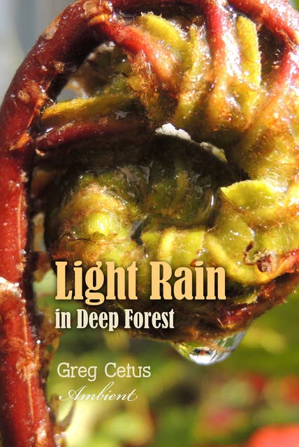 Light Rain in Deep Forest: Nature Sounds for Relaxation