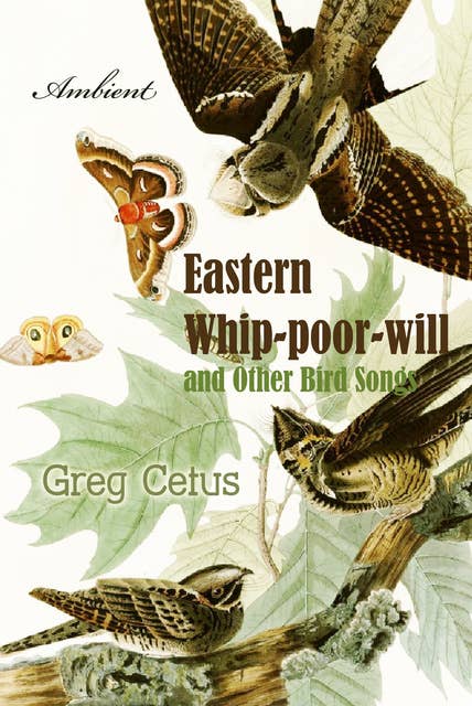 Eastern Whip-poor-will and Other Bird Songs: Nature Sounds for Trance and Meditation