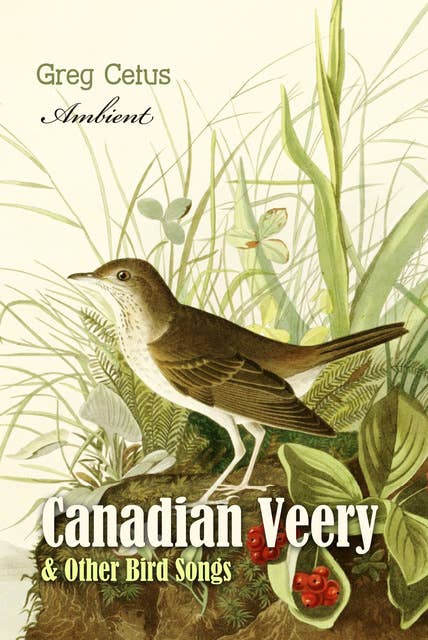 Canadian Veery and Other Bird Songs: Ambient Soundscape for Peace of Mind